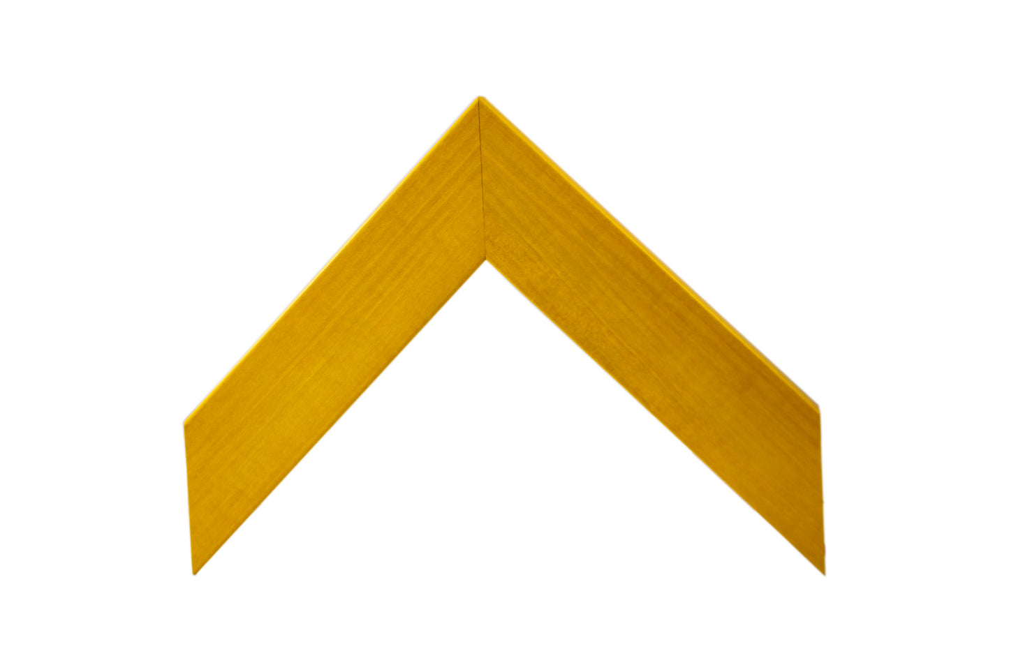 Trópico 13